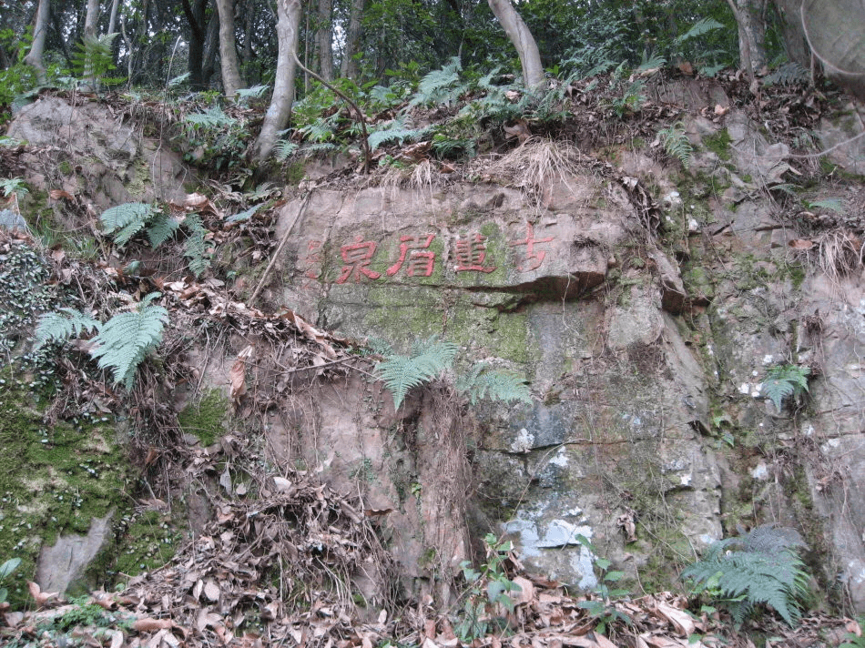 探访苏州张桥村，“就地过年”过上几日诗酒田园的惬意生活