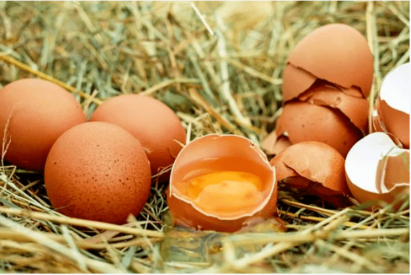 eba71cbf115d460db13c22ac32c59689.png
