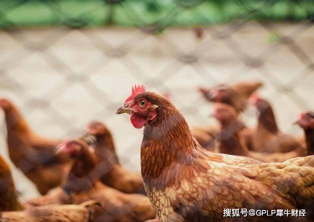 凤翔股票破了,想回归a股融资业绩。不稳定流量比突破“1”