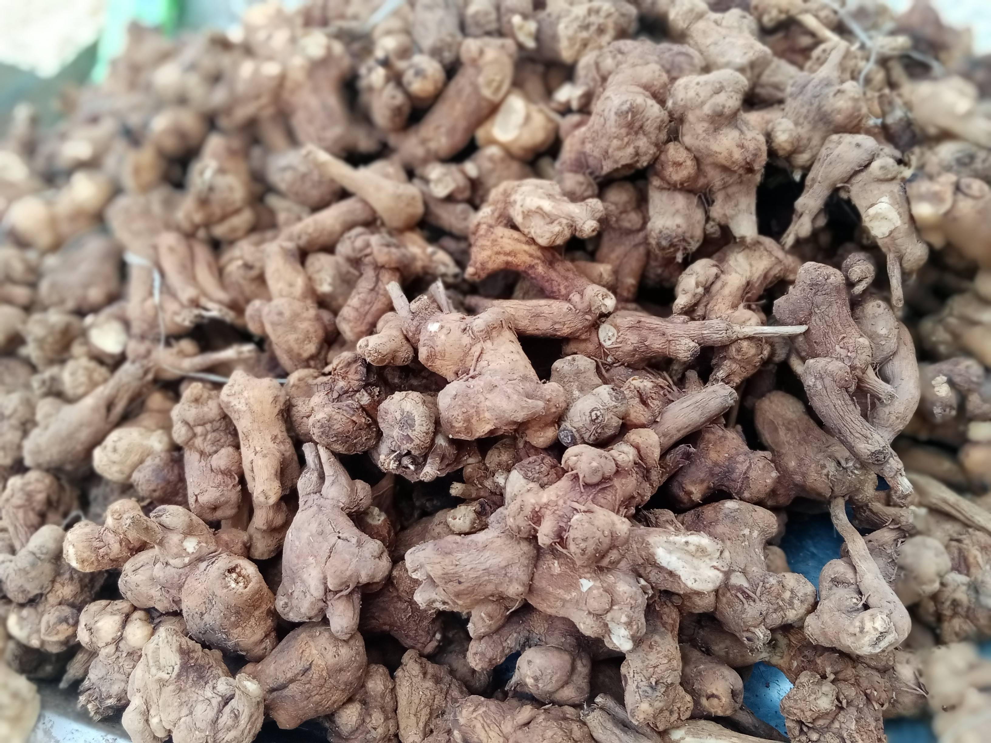 安徽亳州谯城区:中药材铺就"致富路"