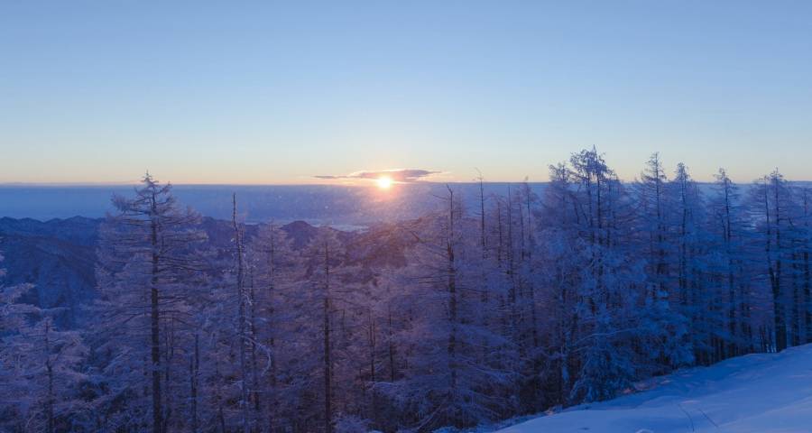 用户对家电厂商来说到底算什么?-家电圈官网