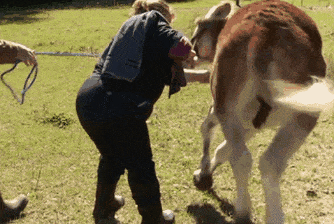 478_321gif 动态图 动图