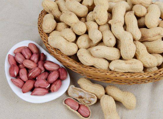 什么时候种花生是最好的 b892f9521057405cb67224381ddd32ca.jpeg