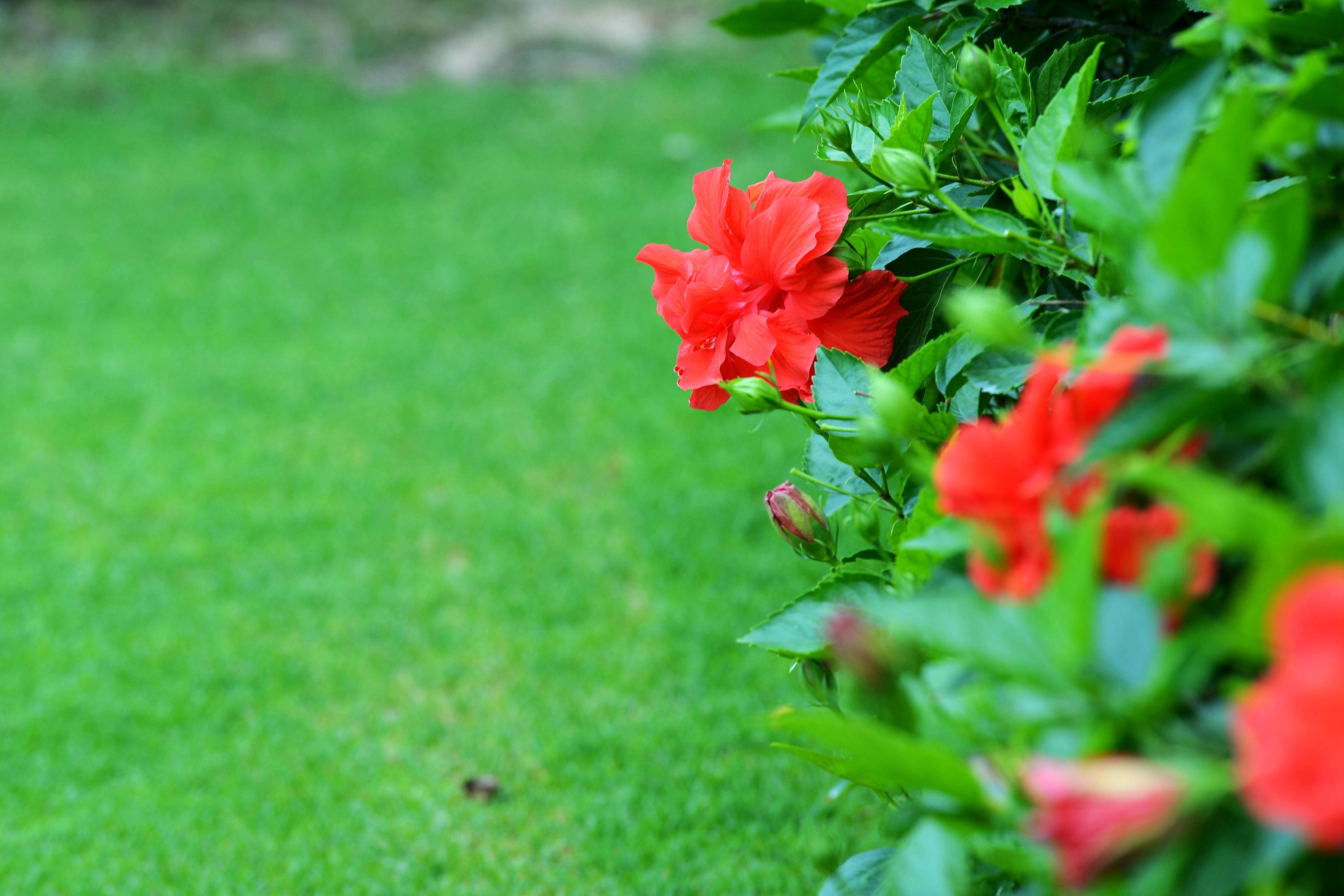 假日暖洋洋我们的三亚海时光