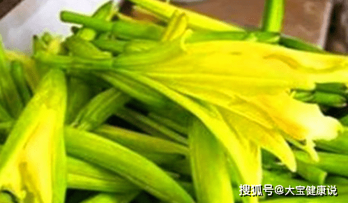 黄花菜又名金针菜,忘忧草等,它的花蕾,即黄花,自古以来就是一种美食.