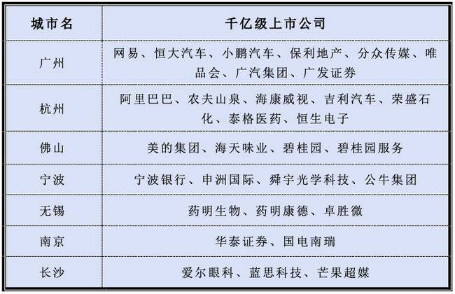 公司经济总量是指什么_白带是什么图片