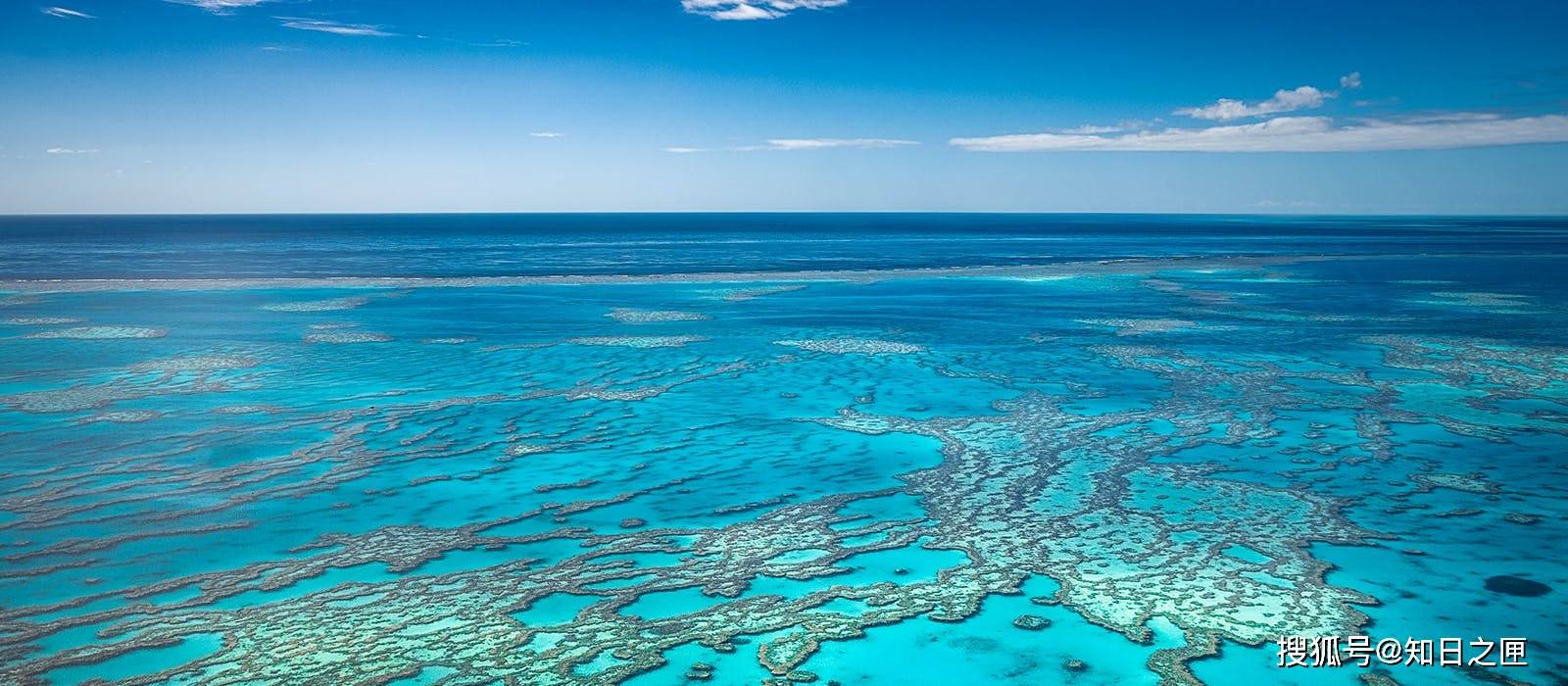 拥有全世界最古老的雨林和最大的珊瑚礁！令人难忘的纯净自然！