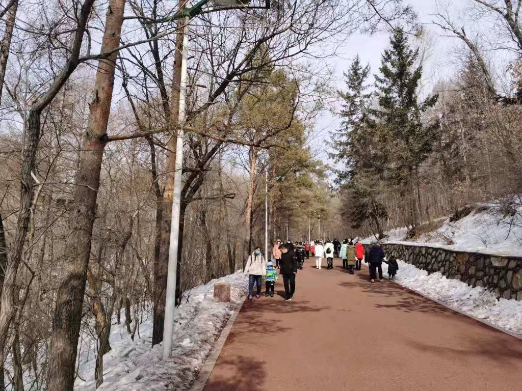 牡丹江市民春节登山过健康年