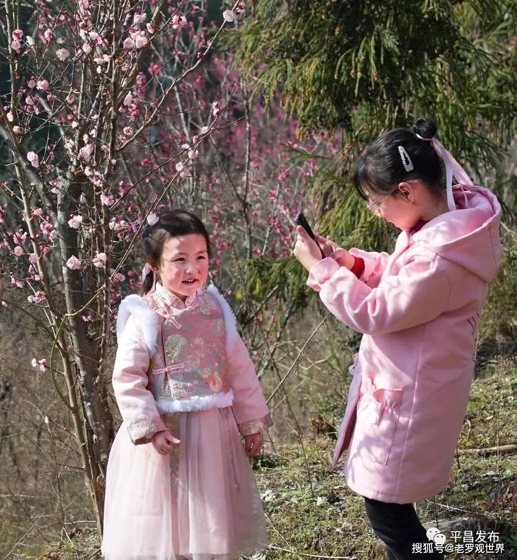 巴中花丛人口_巴中花丛镇美女