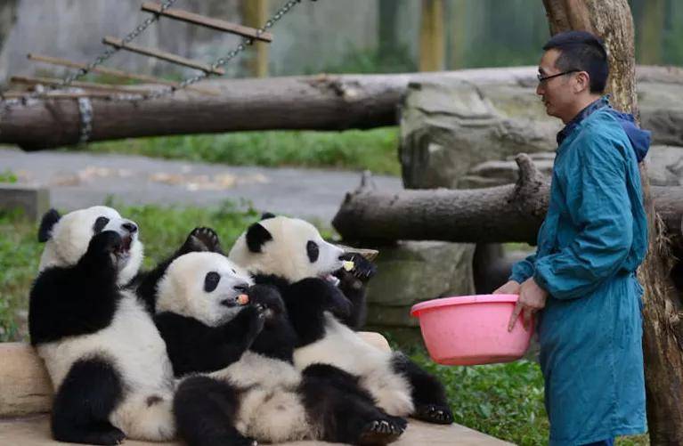 这个连云港人创了世界纪录