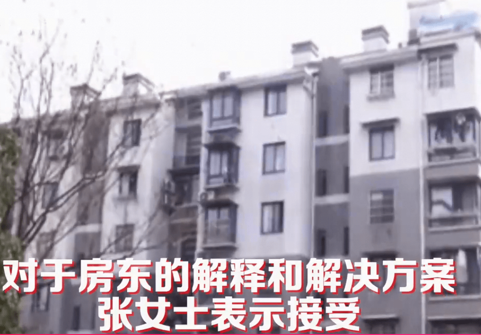 哪里可以租到房东的房子 8fbca529129e45248da7a2c25660e4c7.png
