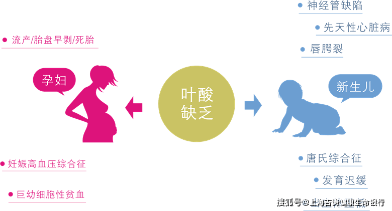 叶酸你补对了吗?缺乏过量都有害!