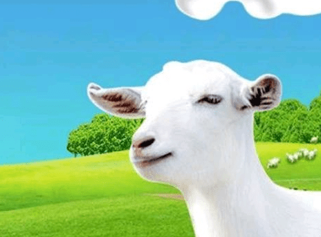 080d63e64272401d84a0fbae3e03a6f9.png