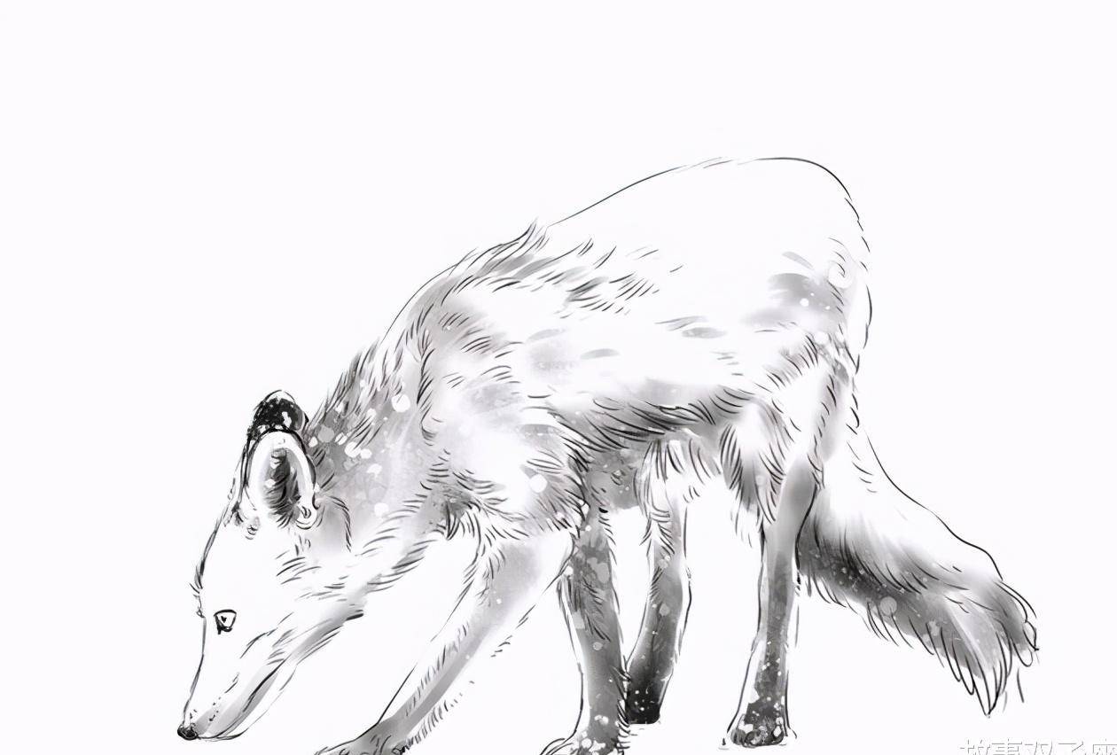 原创民间故事老狼成精