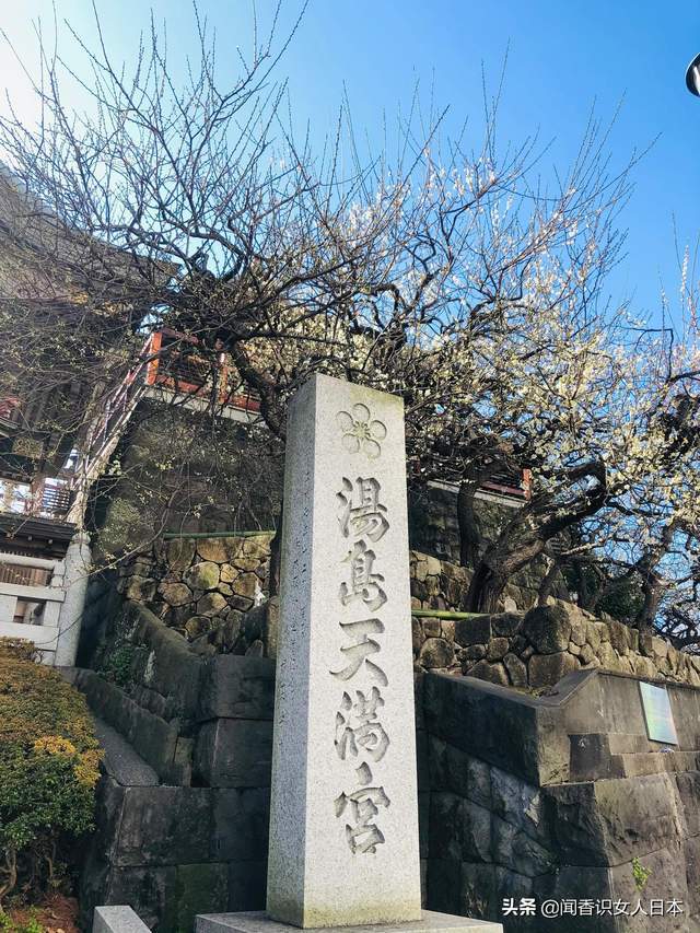 东京汤岛天满宫梅花香自苦寒来，学子祈祷金榜题名的必到打卡之地