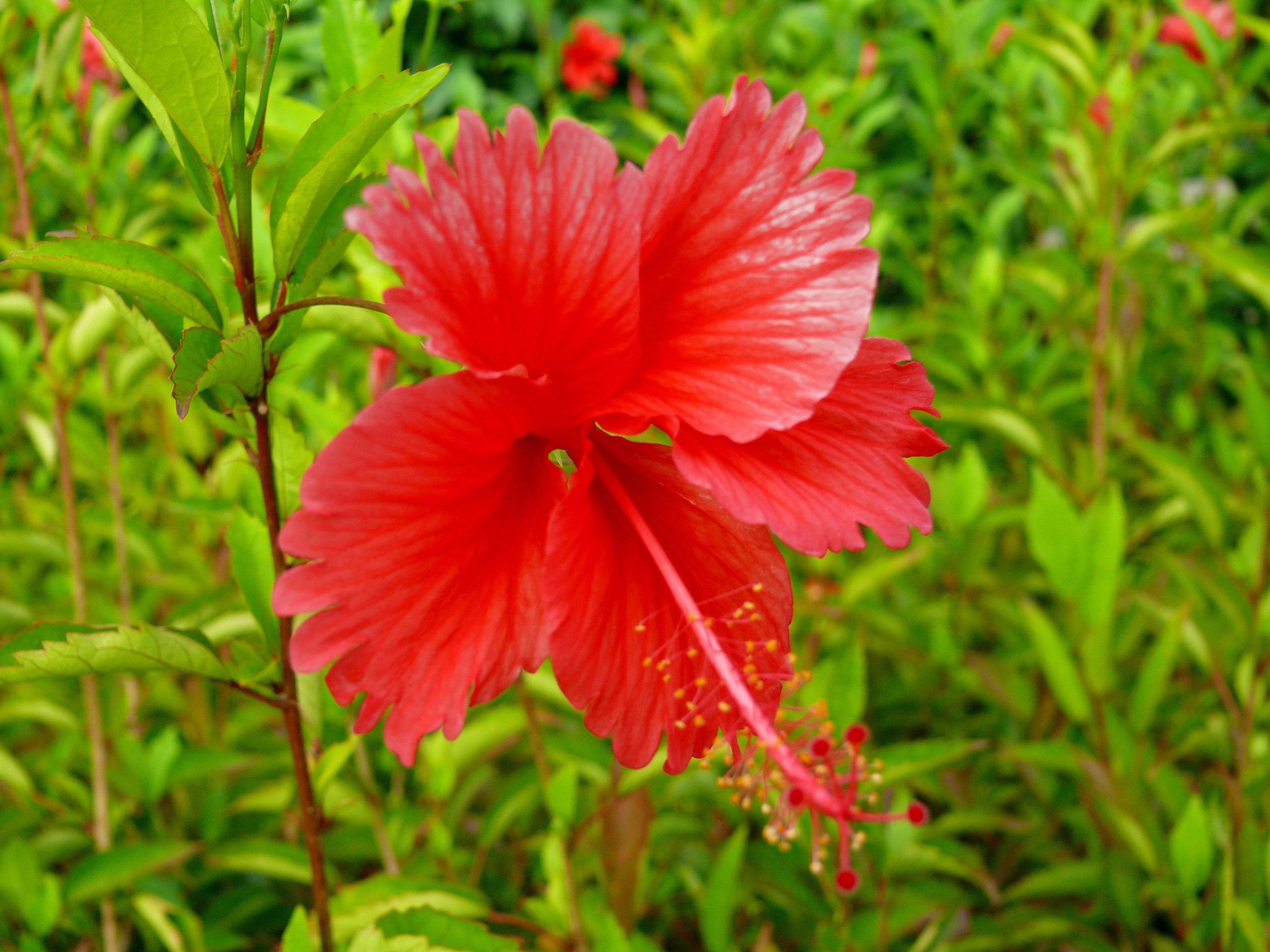 2月日星座运势 水涨船高 气势如虹的四大星座 感情