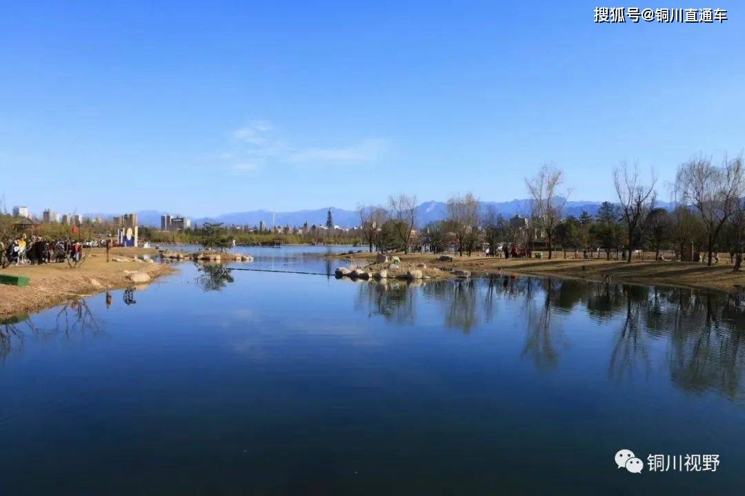 鄠邑区渼陂湖的冬季景色