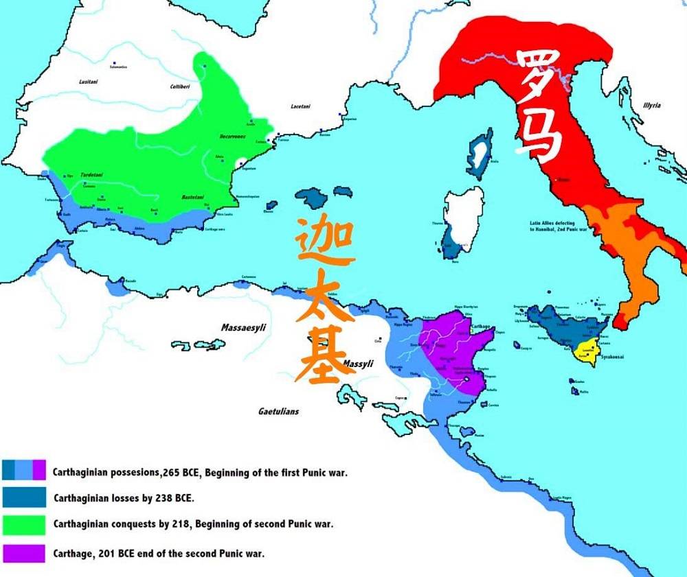突尼斯人均收入_突尼斯软籽石榴(3)