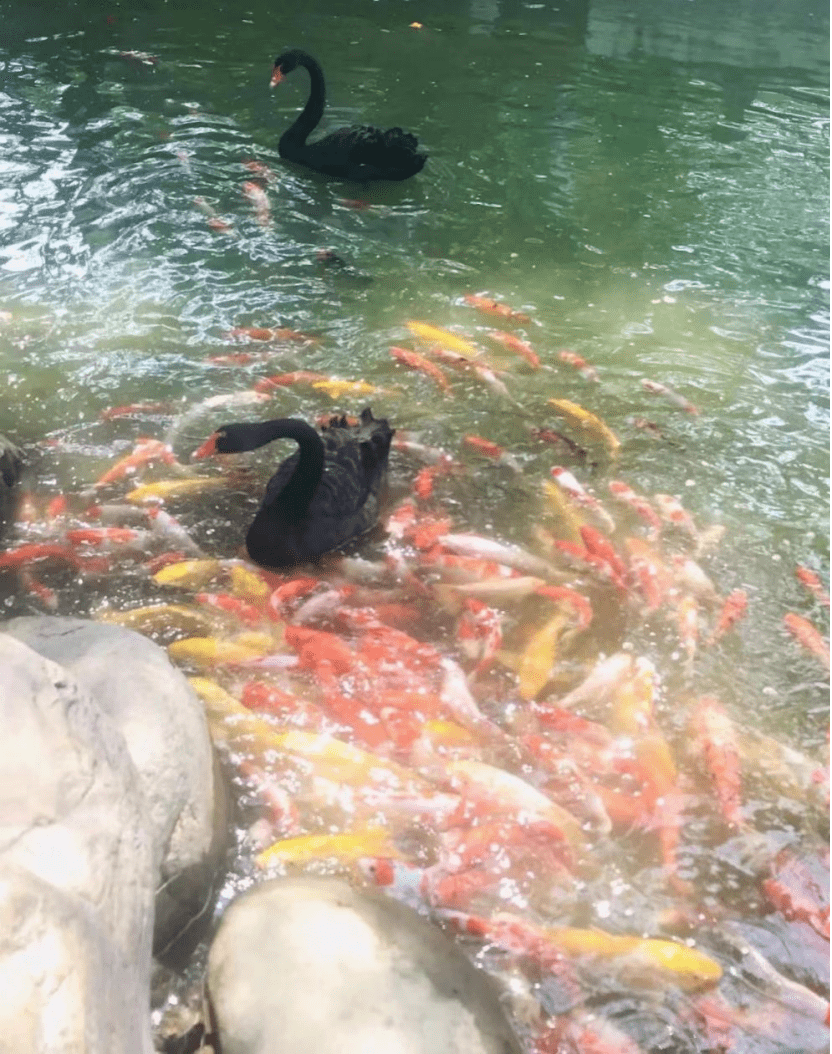 大驾旅行小朱自驾——万佛湖、天堂寨马丁公路自驾3日游