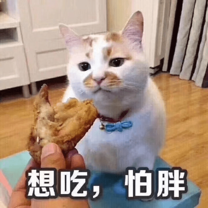 64b58ee755ff49ef9057fd486900b6e7.png