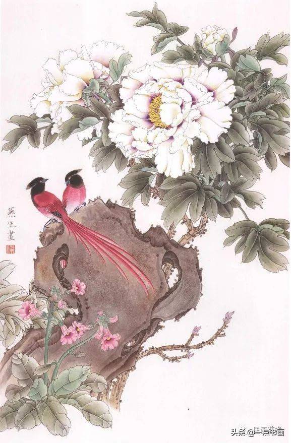 花开富贵——工笔牡丹临习范本选页欣赏_梁燕生