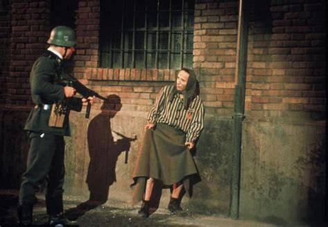 必要的杀戮完整版中文免费观看 cd5e161cb2d344adb9d205dabcf17430.jpeg