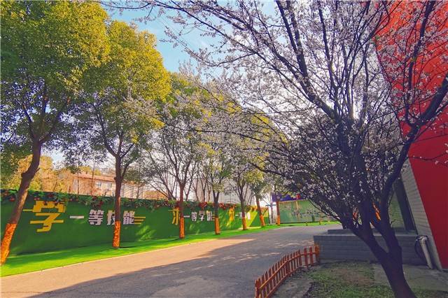 【春色入园】一起来武汉新华探寻早春里的美好！