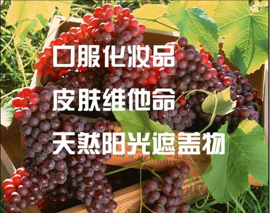 葡萄籽适合多少岁吃 葡萄籽适合什么年纪吃 花青素 全网搜