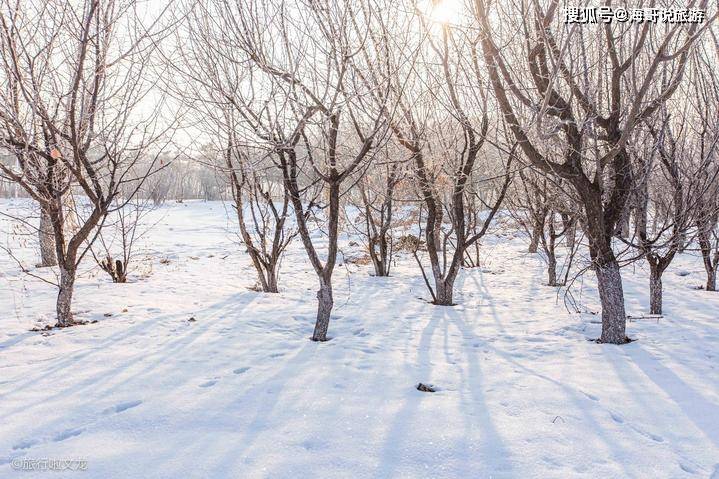 给孩子一个可以肆意玩雪的童年记忆