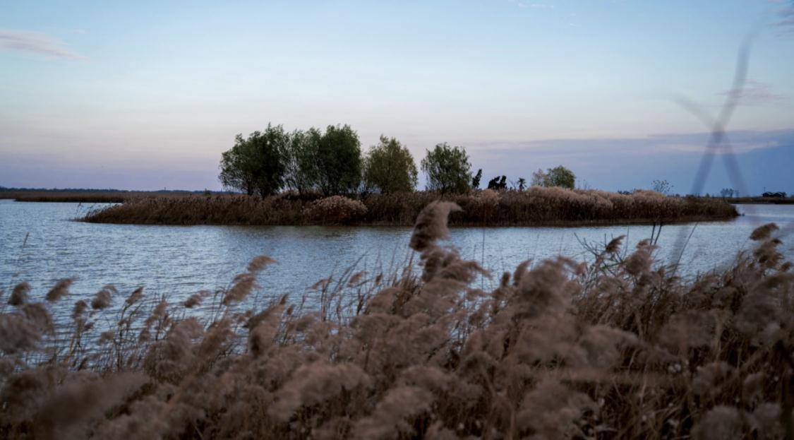 江苏一个空旷宁静的湿地，面积45万公顷，滑进沼泽的女孩就在此