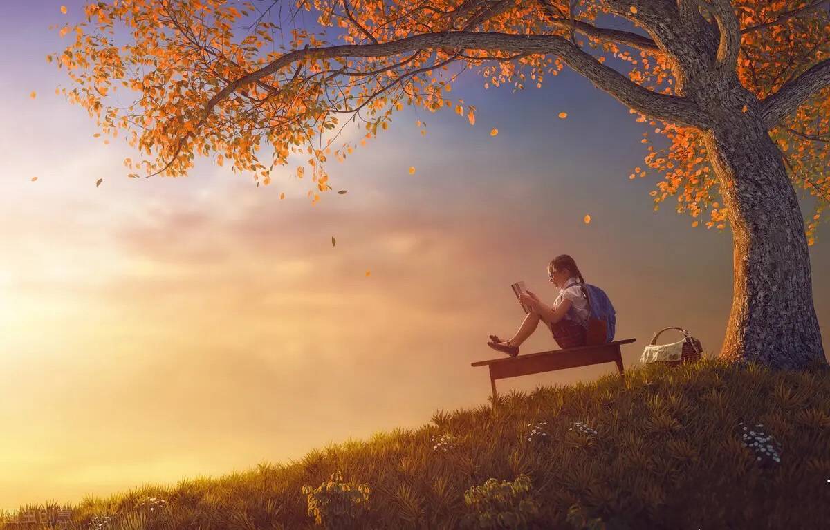 飞跃人生路 8ab2fff4d91443aaa5158794f2a41050.jpeg