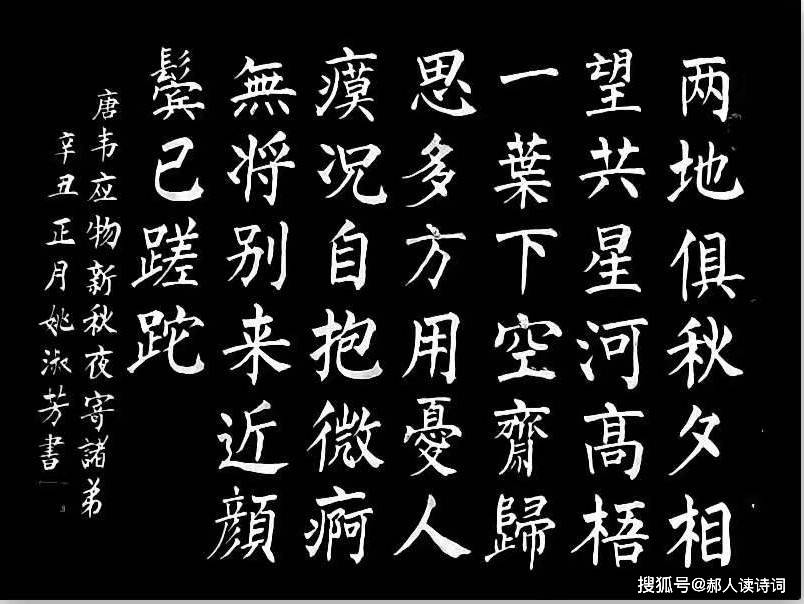 【书写经典】第160期,韦应物《新秋夜寄诸弟》-搜狐大视野-搜狐新闻