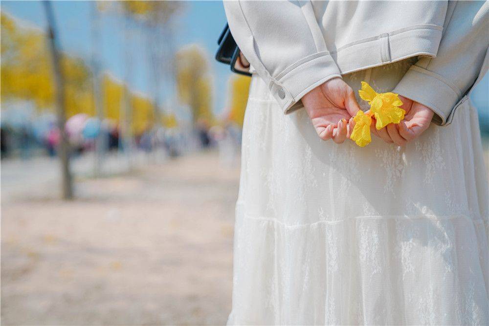 广州又一赏花胜地，最灿烂黄花风铃木，免费打卡好去处