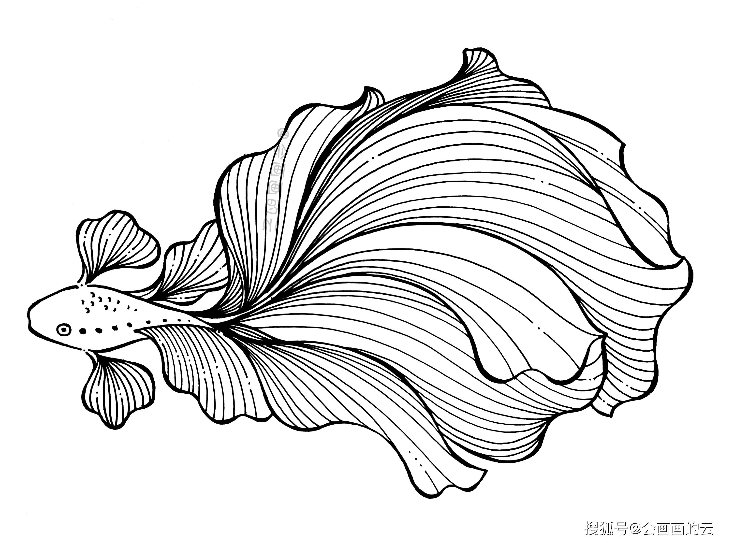 9张线描创意小金鱼用普通的笔画出超精美的画作美醉了
