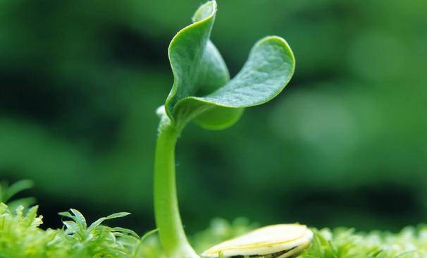 2月25号 3月18号 这三大星座身价暴涨 诸事顺利 财运不断 天降横财必暴富 工作