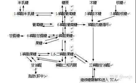 双口炸七不炸八是什么原理_幸福是什么图片