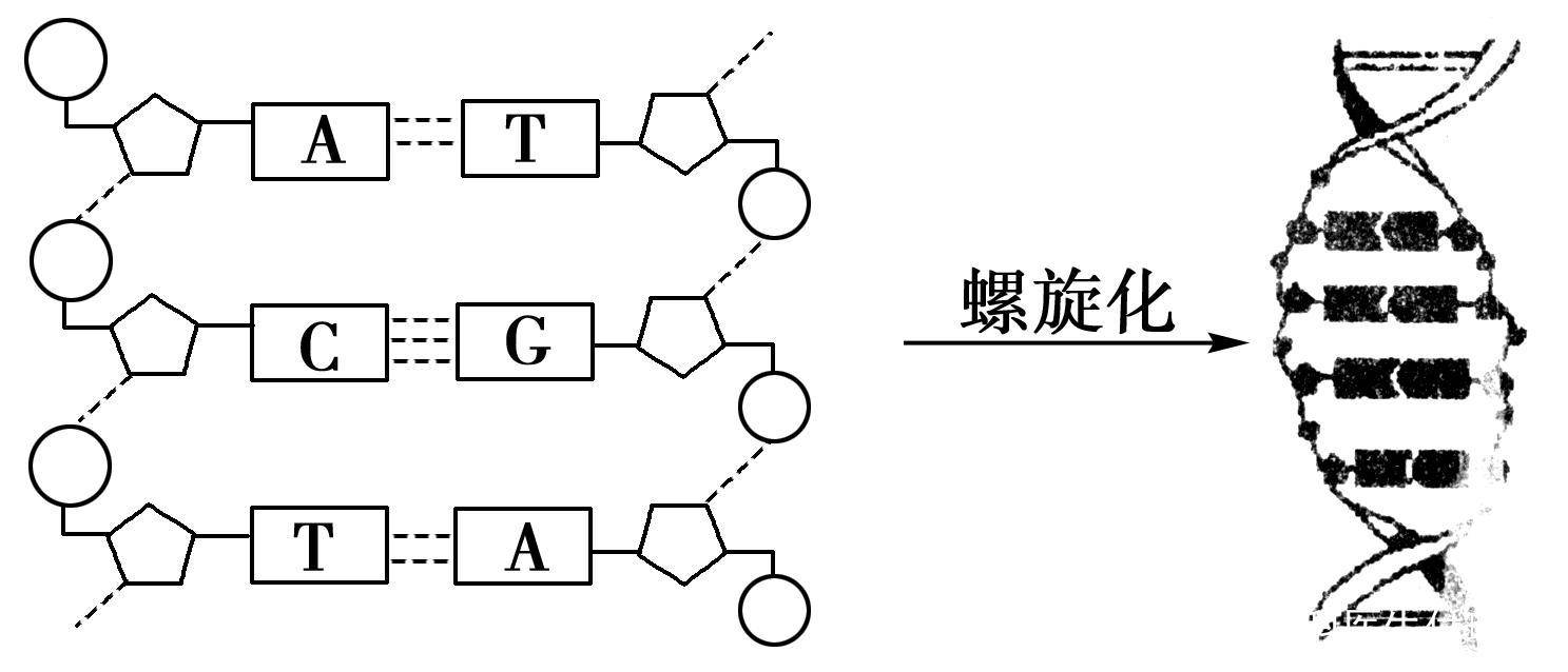 g蛋白结合gdp是被磷酸化吗_蛋白线是蓝色吗(3)