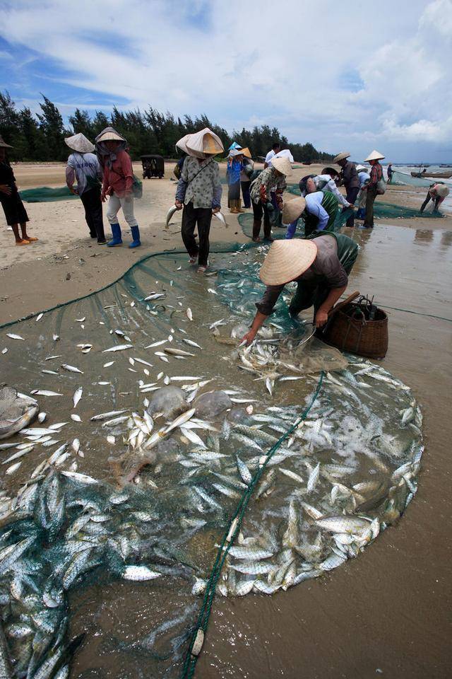 京族三岛,与越南仅一水之隔,生活着我国唯一的海洋民族