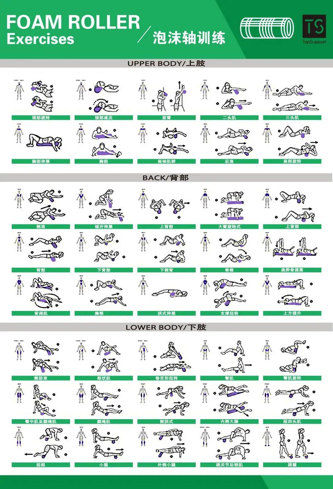 体能训练动作图解大全泡沫轴动作合集