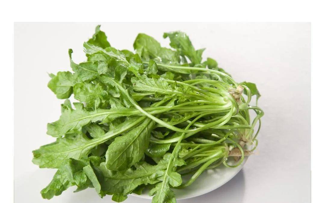 采荠菜正当时 春天的味道的野菜 分享荠菜的几种做法 饺子