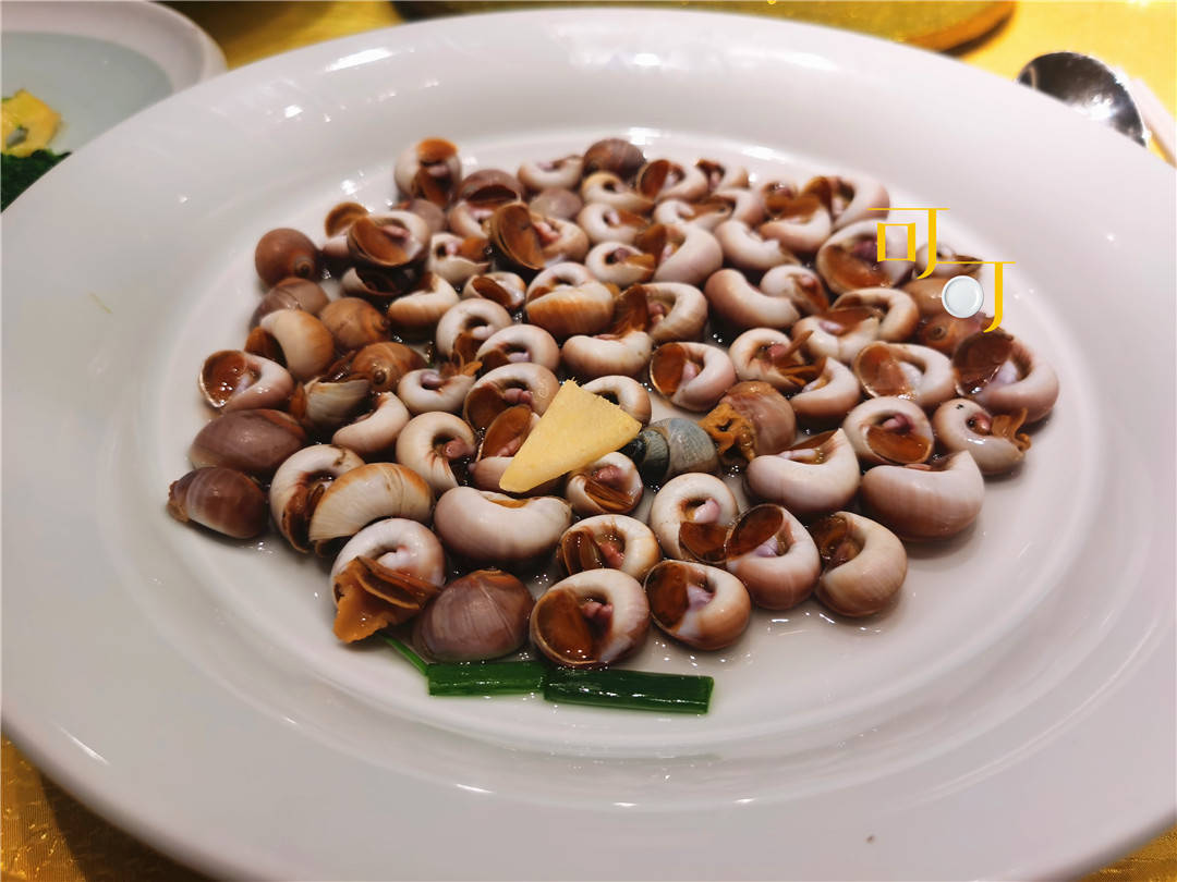 元宵节前家庭聚餐,吃一顿地道宁波菜海鲜为主,9个人1300元