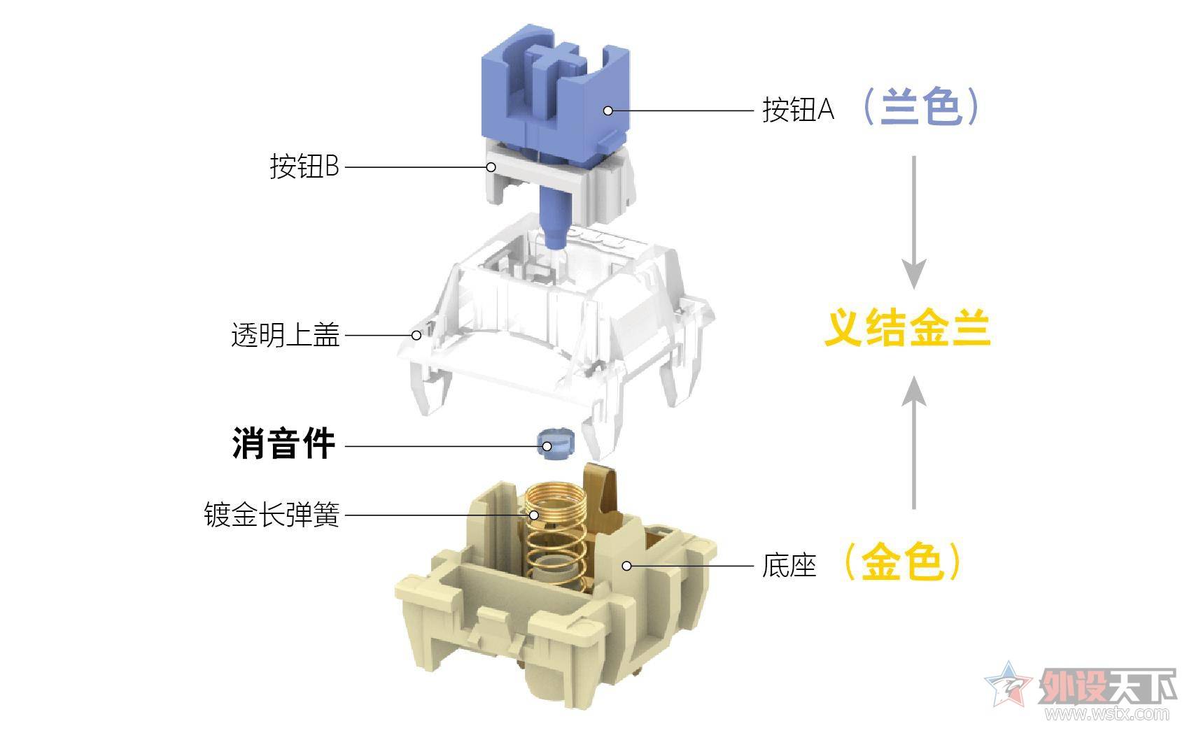 成语什么金兰_金志文老婆金兰简历