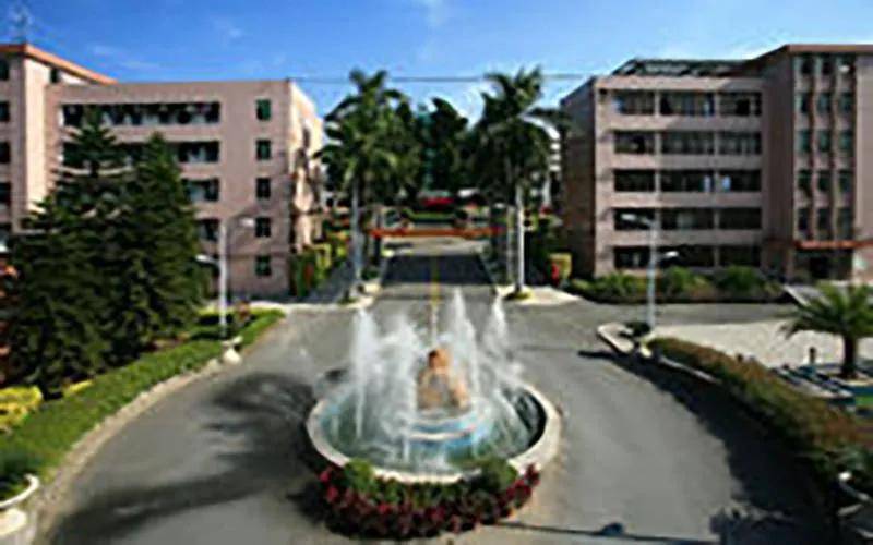 文章配图-91