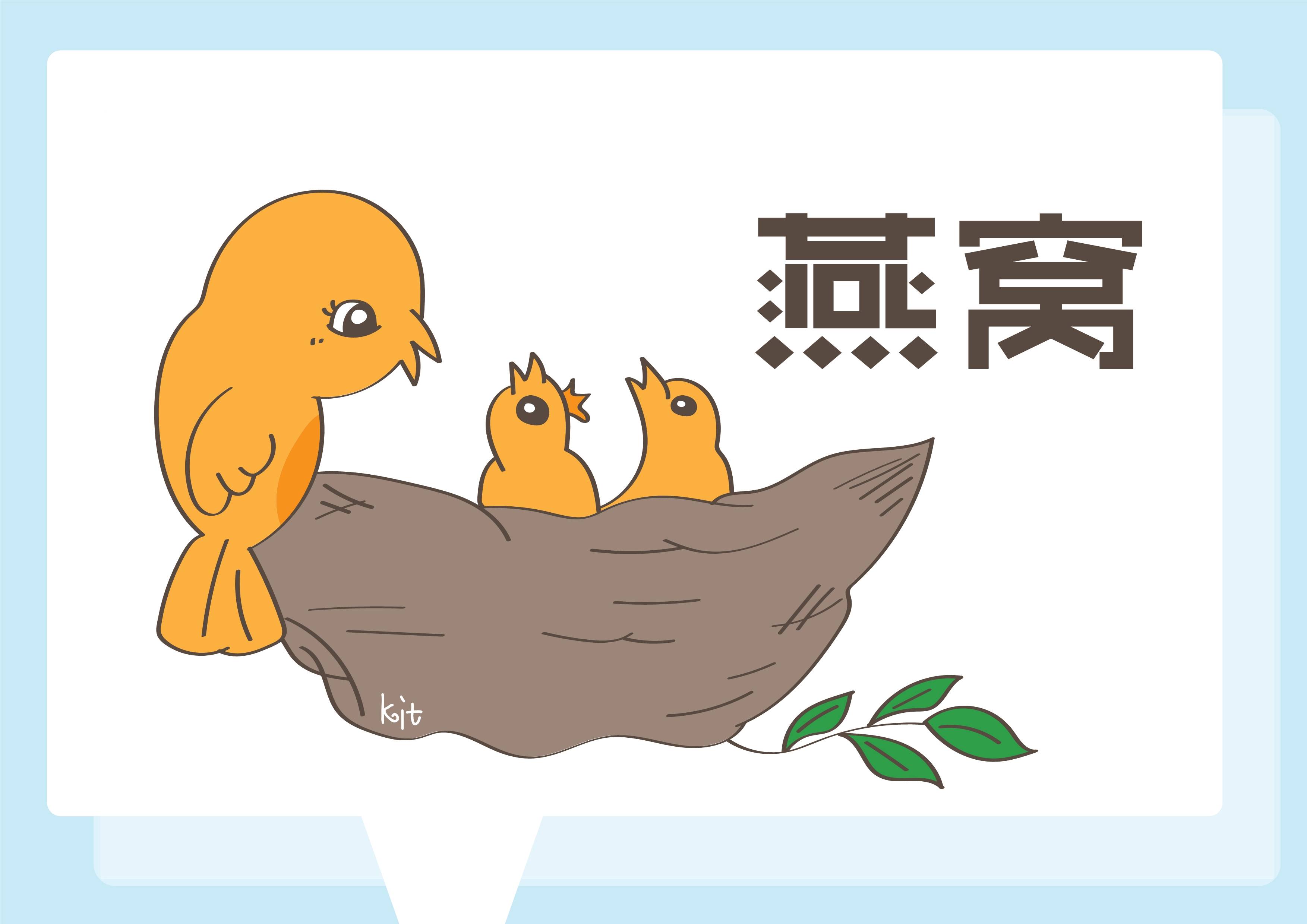 这几类食物记得常吃,不仅能养肤,对宝宝智力发育好处还不少_燕窝