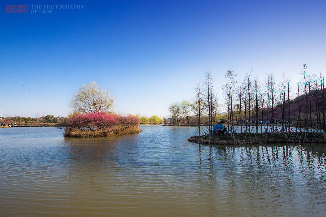 杭州有个公园比西湖还热闹，有吃有玩还能放风筝，一般人我不告诉他
