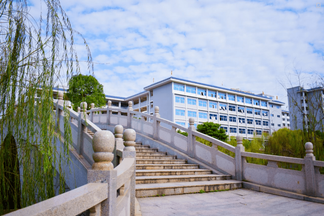 文章配图-99