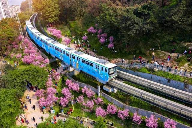 开往春天的列车，重庆又双叒叕火了！