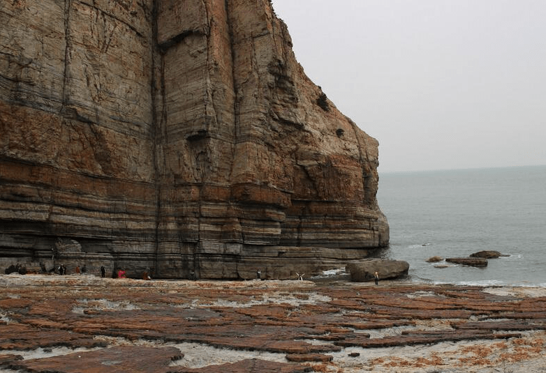 一年好景踏春来 这份踏青集锦青岛的小伙伴快收好