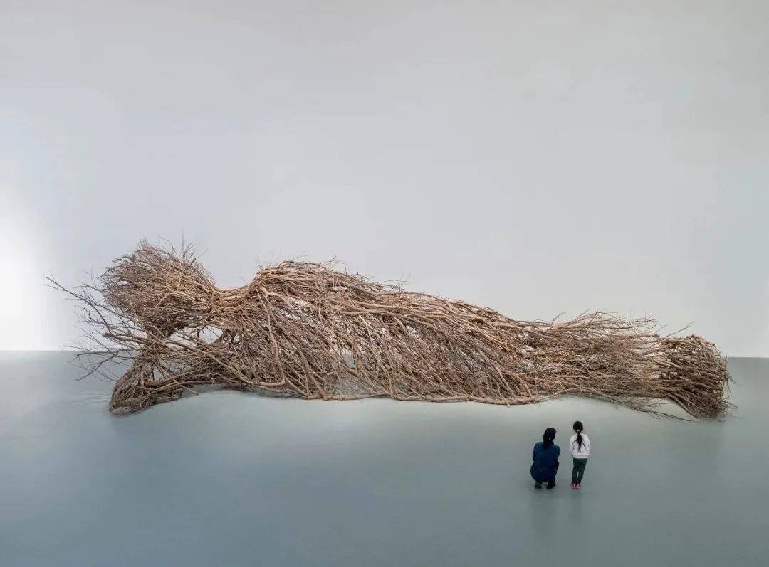 原创对话艺术家胡军军