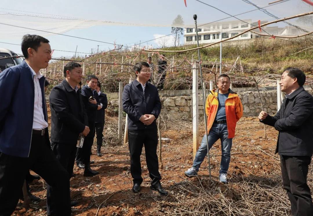 谢谢你简谱歌谱戚建波曲谱